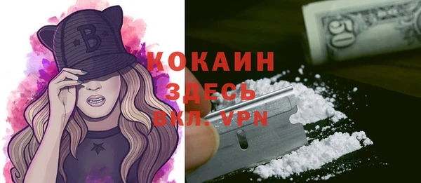 мяу мяу кристалл Корсаков