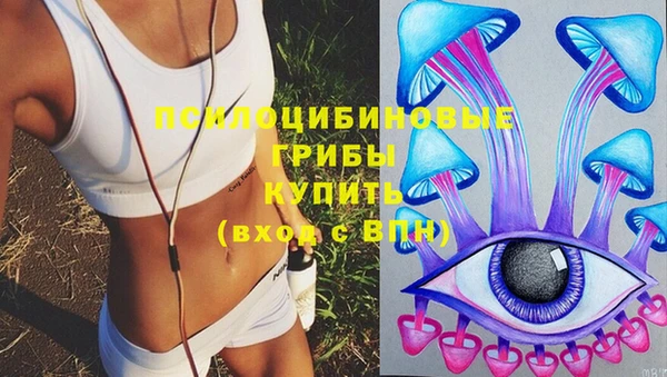 мяу мяу кристалл Корсаков