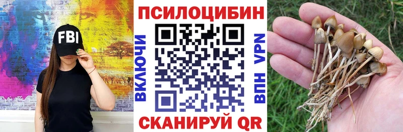 Купить где  Приволжск  Псилоцибиновые грибы Psilocybine cubensis 