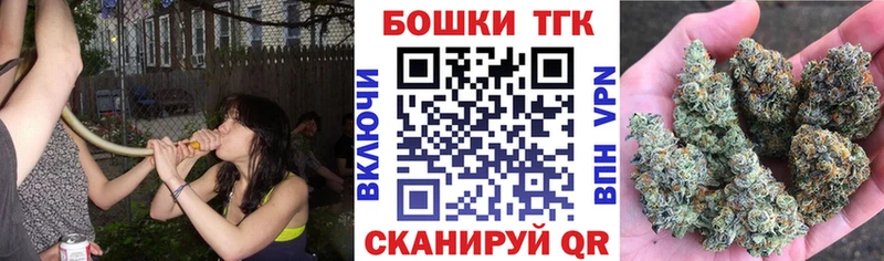 Купить закладки  Приволжск  Шишки марихуана конопля 